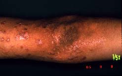 �I��-�Q�T�Ԍ�