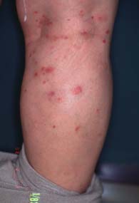 Eڕ-1998.12.09