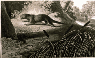 Daniell William OTTER