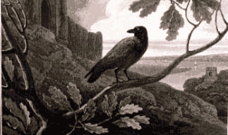 Daniell William RAVEN