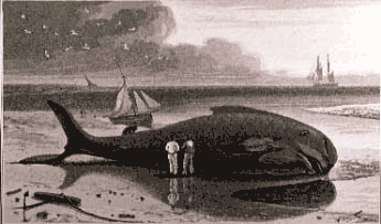 Daniell William WHALE